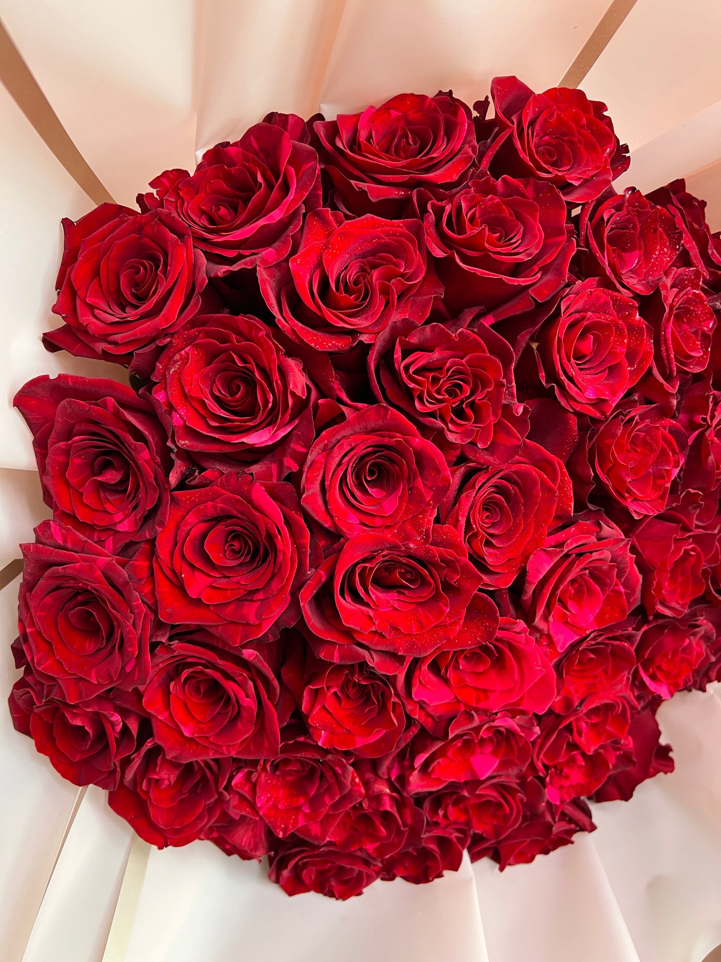 Rosas rojas premium de tallo largo envueltas en rosa