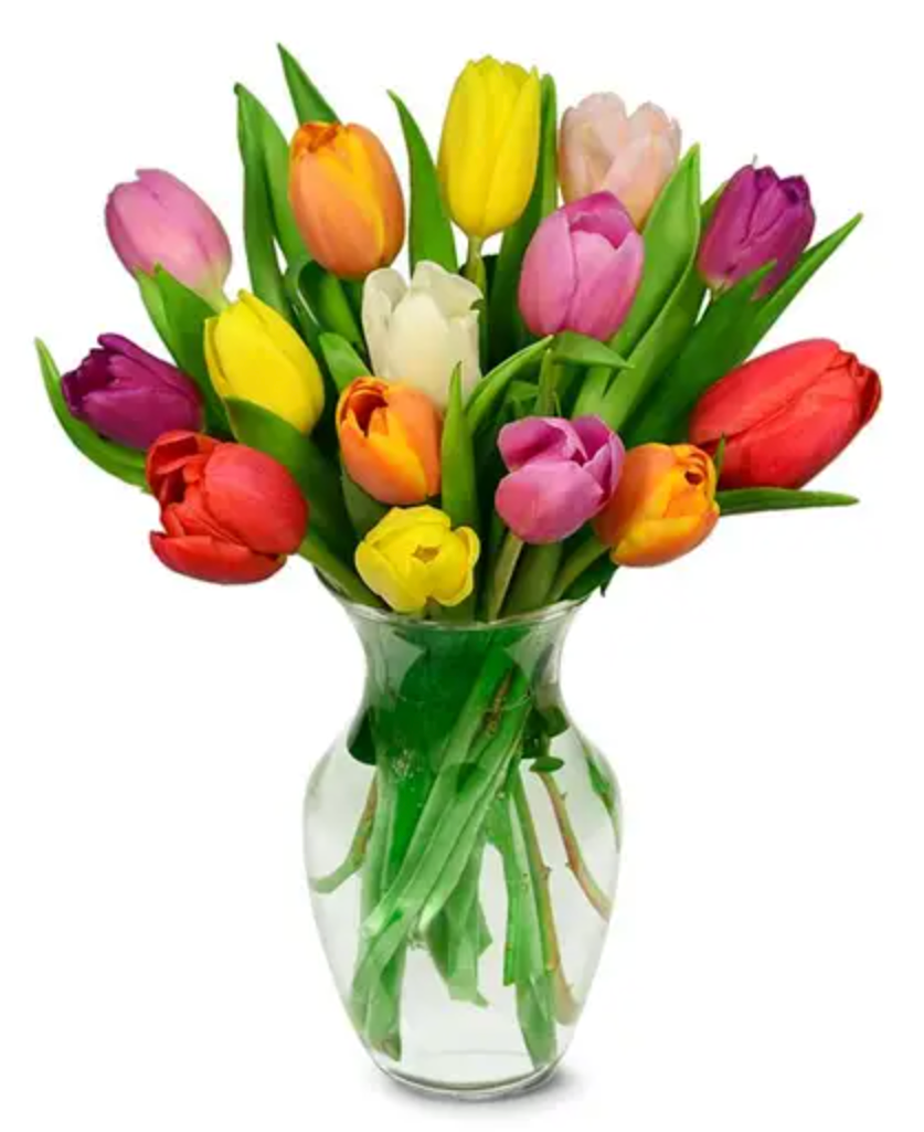Mezcla de tulipanes de colores