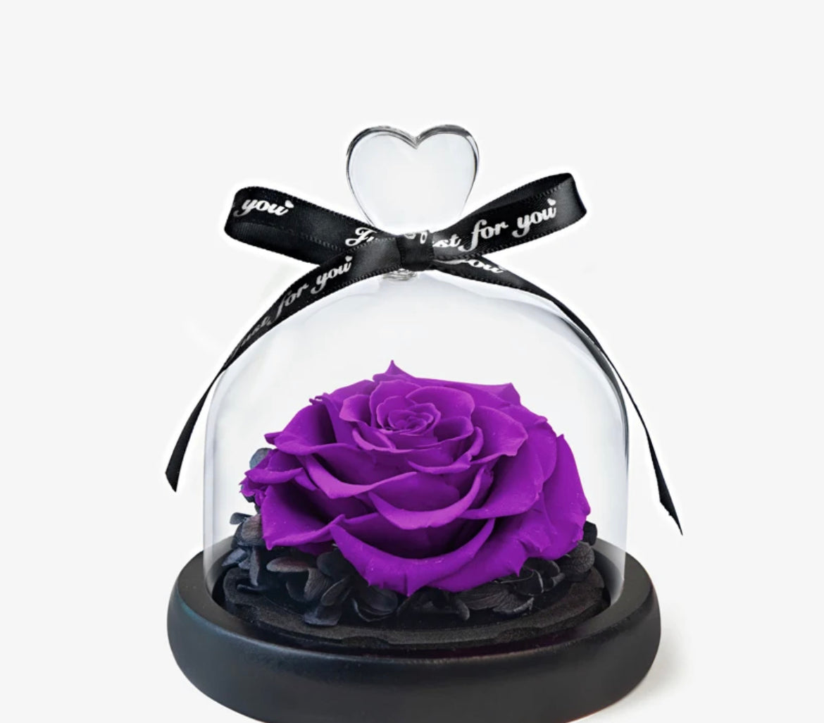 Petite Rose Dome